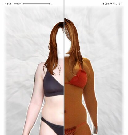 Torso Comparison