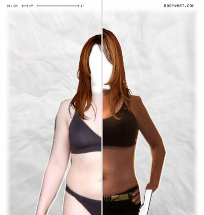 Torso Comparison
