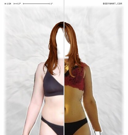 Torso Comparison