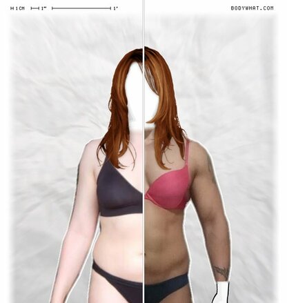 Torso Comparison