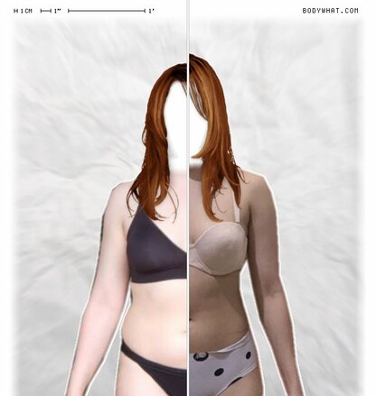 Torso Comparison