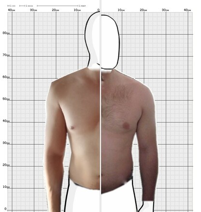 Torso Comparison