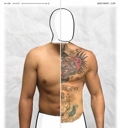Torso Comparison