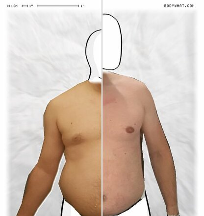 Torso Comparison