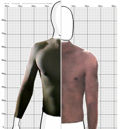 Torso Comparison