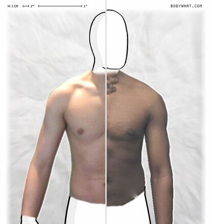 Torso Comparison