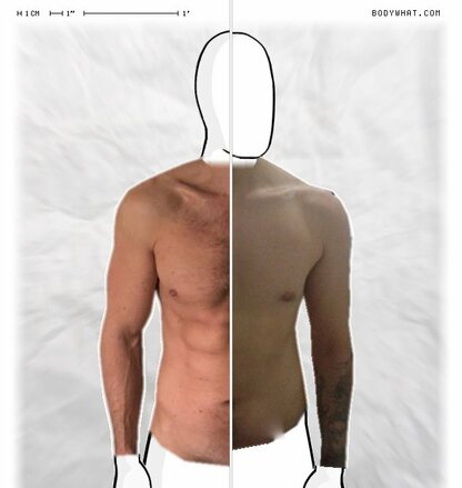 Torso Comparison