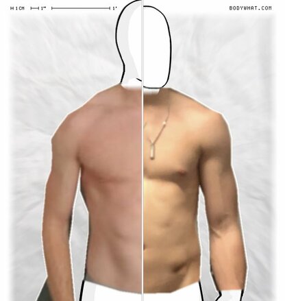 Torso Comparison