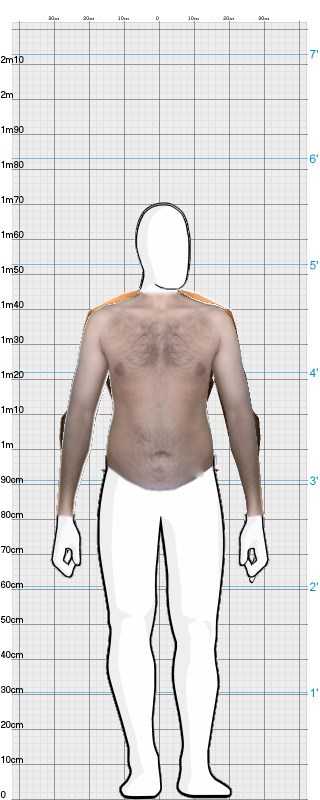 Full Size Comparison