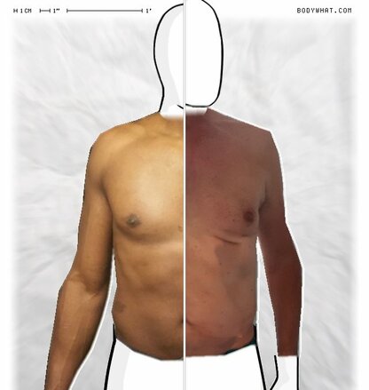 Torso Comparison