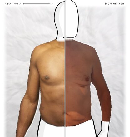 Torso Comparison