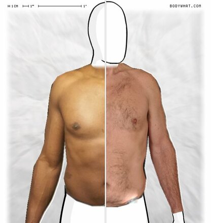 Torso Comparison