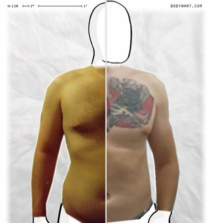 Torso Comparison