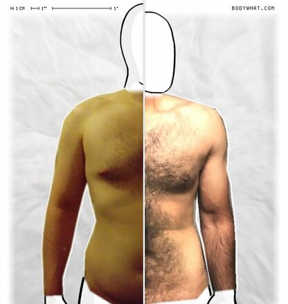 Torso Comparison