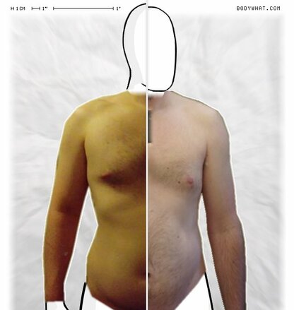 Torso Comparison