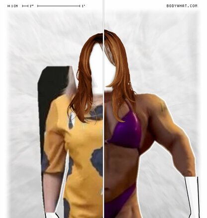 Torso Comparison