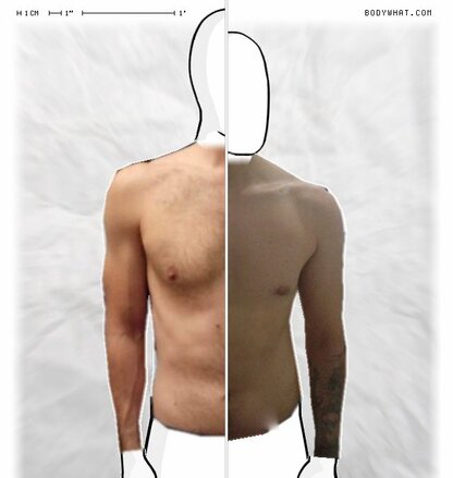 Torso Comparison