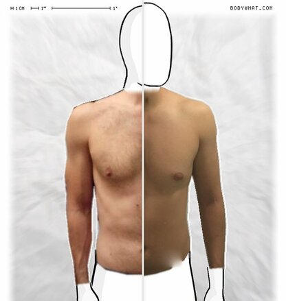 Torso Comparison