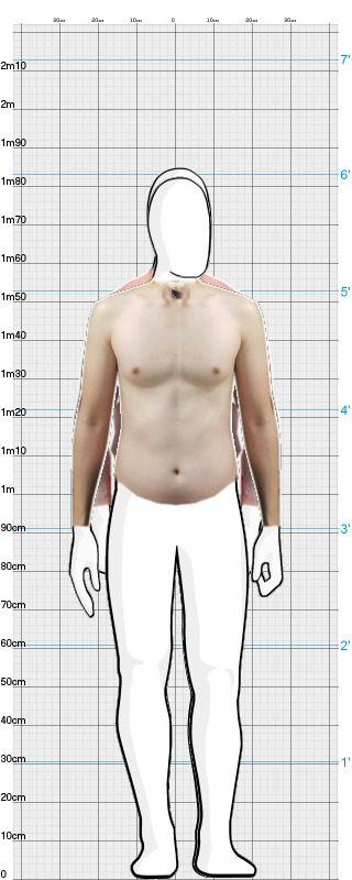 Full Size Comparison