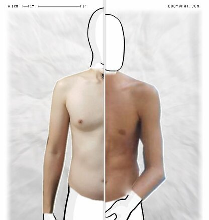 Torso Comparison