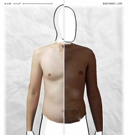 Torso Comparison