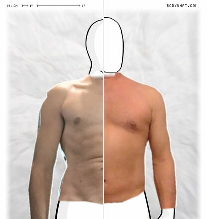 Torso Comparison