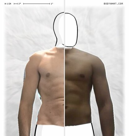 Torso Comparison