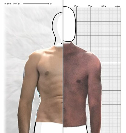 Torso Comparison