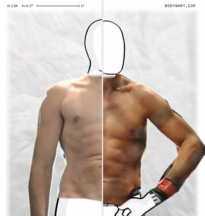 Torso Comparison