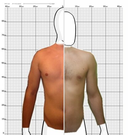 Torso Comparison