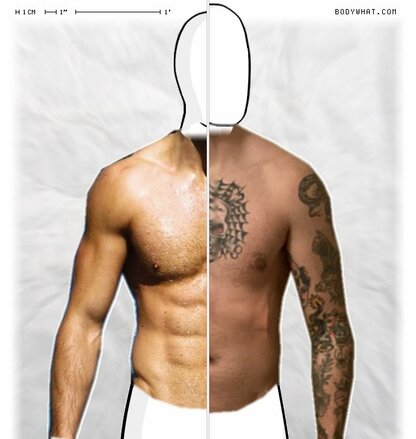 Torso Comparison