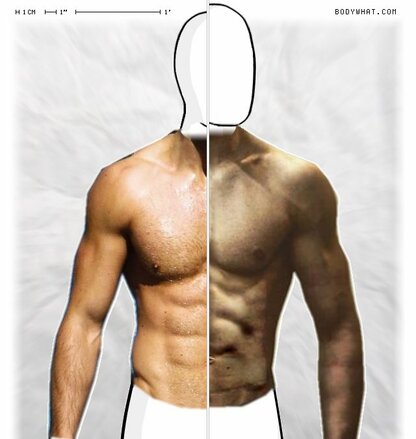 Torso Comparison