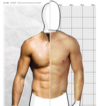 Torso Comparison