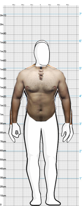 Full Size Comparison