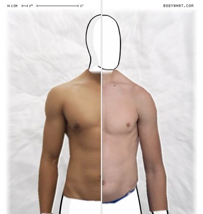 Torso Comparison