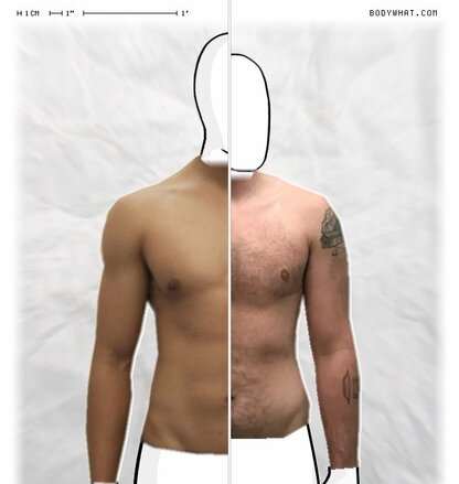 Torso Comparison