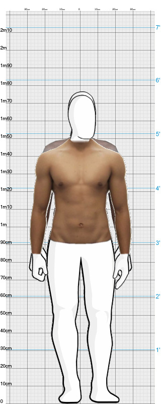 Full Size Comparison