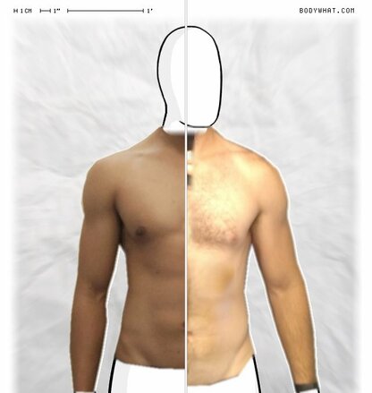 Torso Comparison