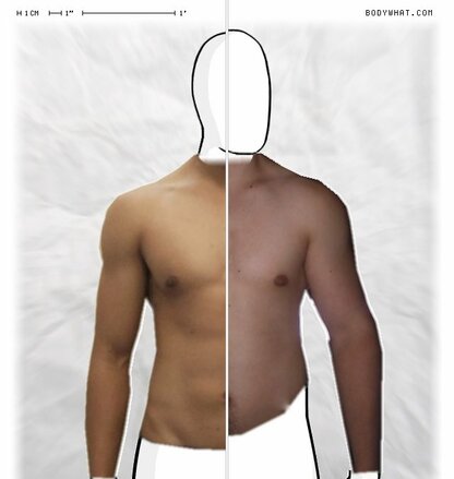 Torso Comparison