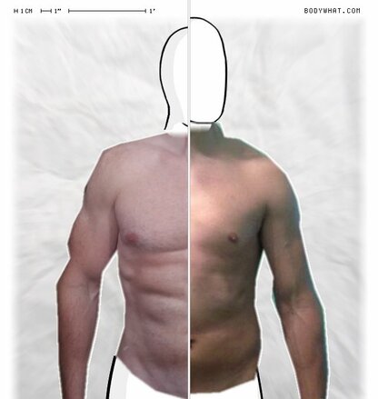 Torso Comparison