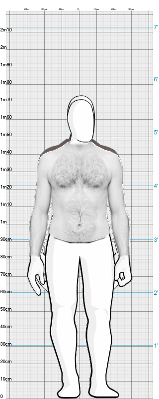 Full Size Comparison