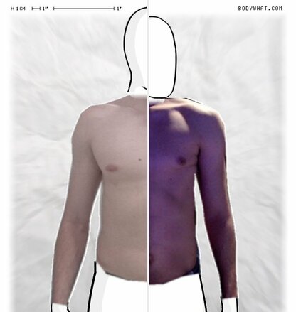 Torso Comparison