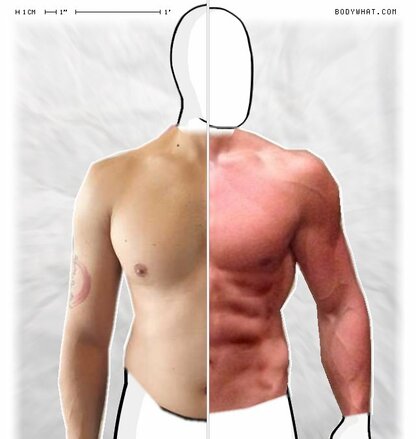 Torso Comparison