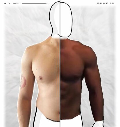 Torso Comparison