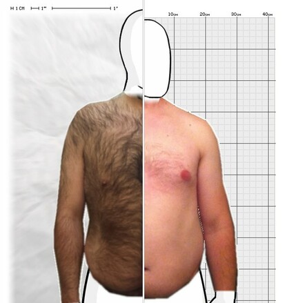 Torso Comparison