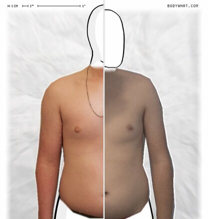 Torso Comparison