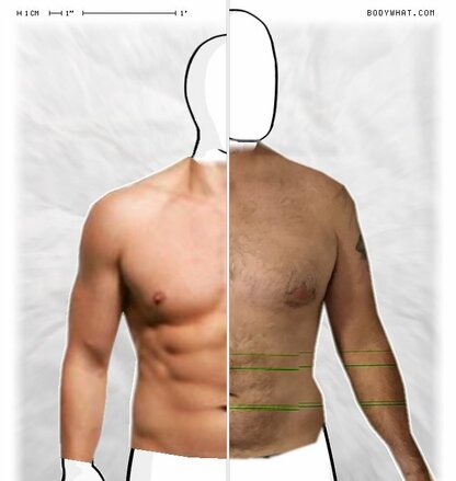 Torso Comparison