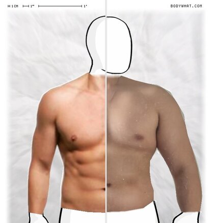 Torso Comparison