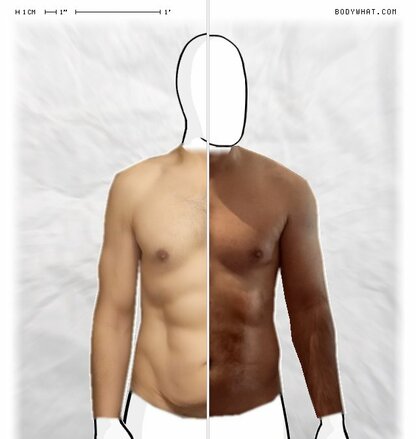 Torso Comparison