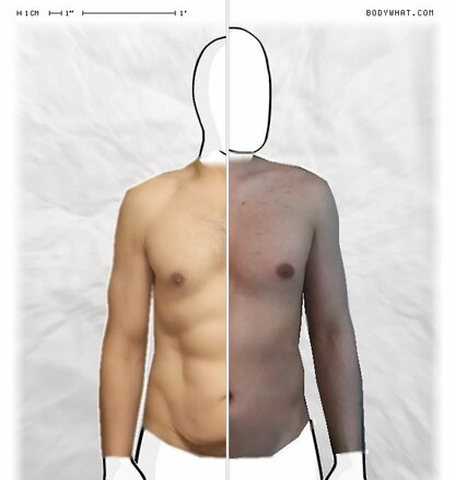 Torso Comparison